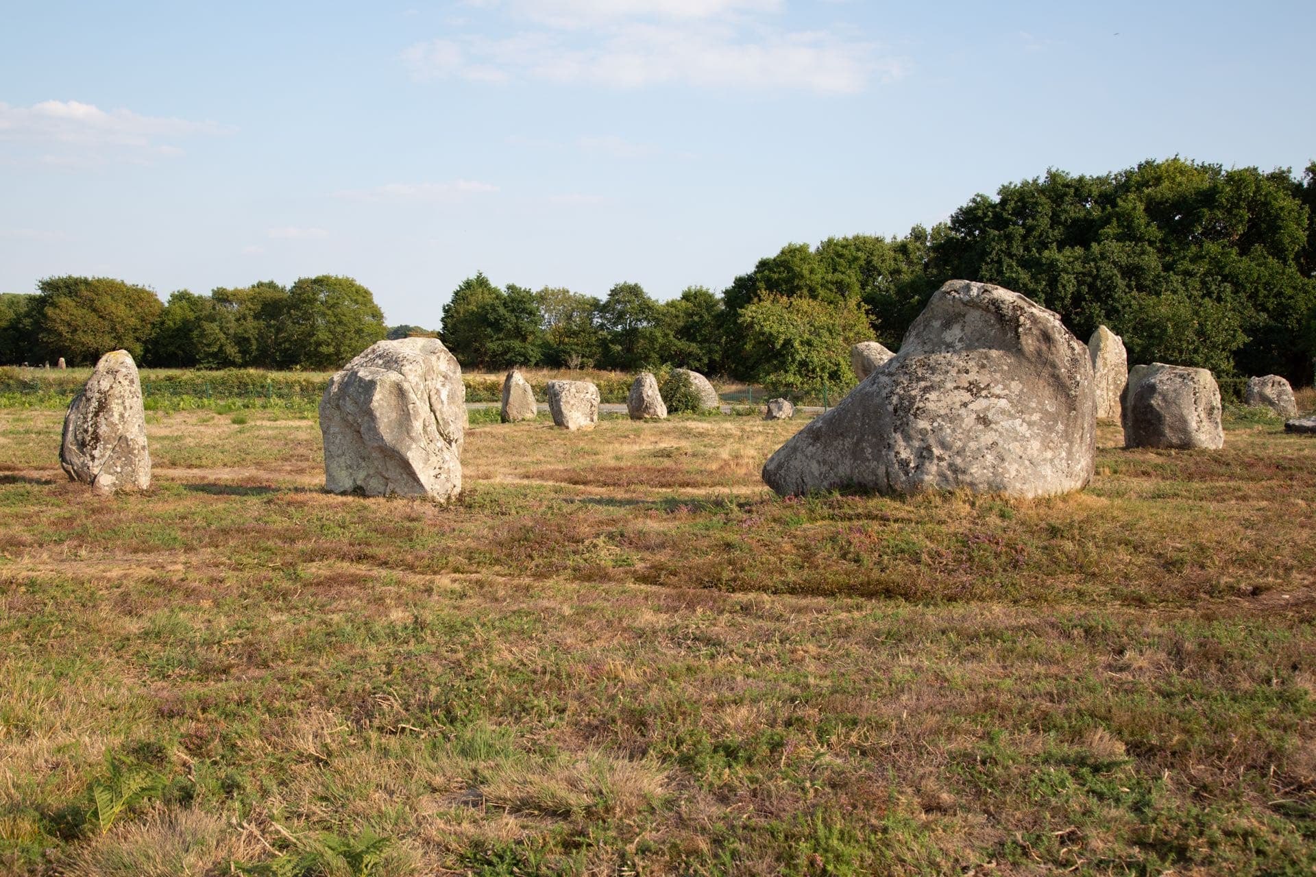 Vue sur les alignements de menhirs de Carnac
